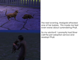 The next evening, Marigold attacked
one of her babies. This made me feel
even worse about surrendering Phyll.
So my solution? I promptly had Silver
call the pet adoption service and
readopt Phyll.
 