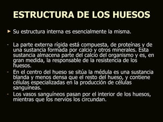 ESTRUCTURA DE LOS HUESOS
►   Su estructura interna es esencialmente la misma.

-   La parte externa rígida está compuesta, de proteínas y de
    una sustancia formada por calcio y otros minerales. Esta
    sustancia almacena parte del calcio del organismo y es, en
    gran medida, la responsable de la resistencia de los
    huesos.
-   En el centro del hueso se sitúa la médula es una sustancia
    blanda y menos densa que el resto del hueso, y contiene
    células especializadas en la producción de células
    sanguíneas.
-   Los vasos sanguíneos pasan por el interior de los huesos,
    mientras que los nervios los circundan.
 