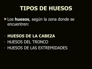 TIPOS DE HUESOS
► Los  huesos, según la zona donde se
    encuentren:

- HUESOS DE LA CABEZA
- HUESOS DEL TRONCO
- HUESOS DE LAS EXTREMIDADES
 