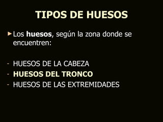 TIPOS DE HUESOS
► Los  huesos, según la zona donde se
    encuentren:

- HUESOS DE LA CABEZA
- HUESOS DEL TRONCO
- HUESOS DE LAS EXTREMIDADES
 