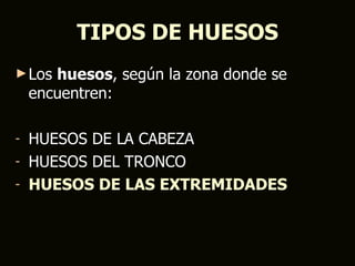 TIPOS DE HUESOS
► Los  huesos, según la zona donde se
    encuentren:

- HUESOS DE LA CABEZA
- HUESOS DEL TRONCO
- HUESOS DE LAS EXTREMIDADES
 