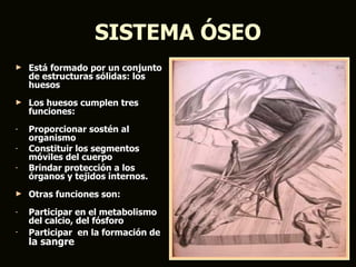 SISTEMA ÓSEO
►   Está formado por un conjunto
    de estructuras sólidas: los
    huesos
►   Los huesos cumplen tres
    funciones:
-   Proporcionar sostén al
    organismo
-   Constituir los segmentos
    móviles del cuerpo
-   Brindar protección a los
    órganos y tejidos internos.
►   Otras funciones son:
-   Participar en el metabolismo
    del calcio, del fósforo
-   Participar en la formación de
    la sangre
 