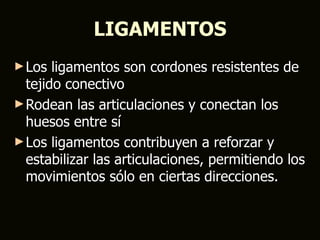 LIGAMENTOS
► Los  ligamentos son cordones resistentes de
  tejido conectivo
► Rodean las articulaciones y conectan los
  huesos entre sí
► Los ligamentos contribuyen a reforzar y
  estabilizar las articulaciones, permitiendo los
  movimientos sólo en ciertas direcciones.
 