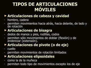 TIPOS DE ARTICULACIONES
               MÓVILES
► Articulaciones de cabeza y          cavidad
-   hombro, cadera
-   permiten movimientos hacia atrás, hacia delante, de lado y
    de rotación
► Articulaciones de bisagra
-   dedos de manos y pies, rodillas, codos
-   permiten sólo movimientos de doblar (flexión) y de
    enderezar (extensión).
► Articulaciones de pivote (o          de eje)
-   cuello
-   permiten movimientos de rotación limitados
► Articulaciones elipsoidales
-   como la de la muñeca
-   permiten todo tipo de movimientos excepto los de eje
 