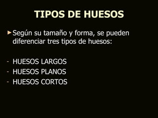 TIPOS DE HUESOS
► Según    su tamaño y forma, se pueden
    diferenciar tres tipos de huesos:

- HUESOS LARGOS
- HUESOS PLANOS
- HUESOS CORTOS
 