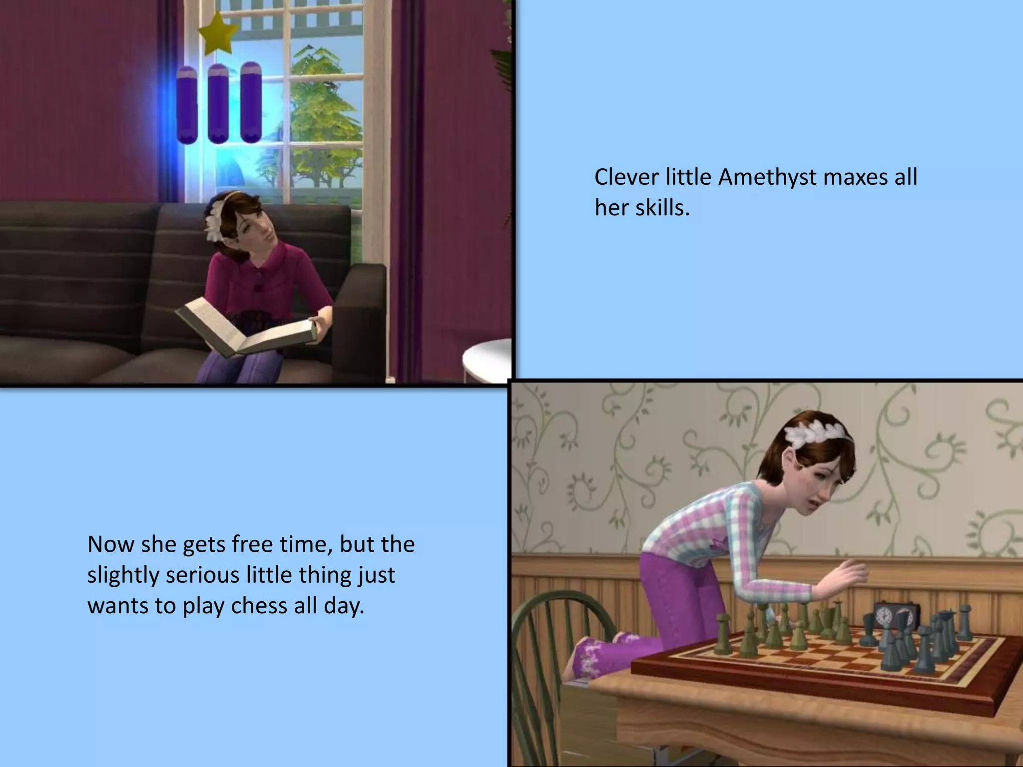 Clever little Amethyst maxes all
her skills.
Now she gets free time, but the
slightly serious little thing just
wants to play chess all day.
 