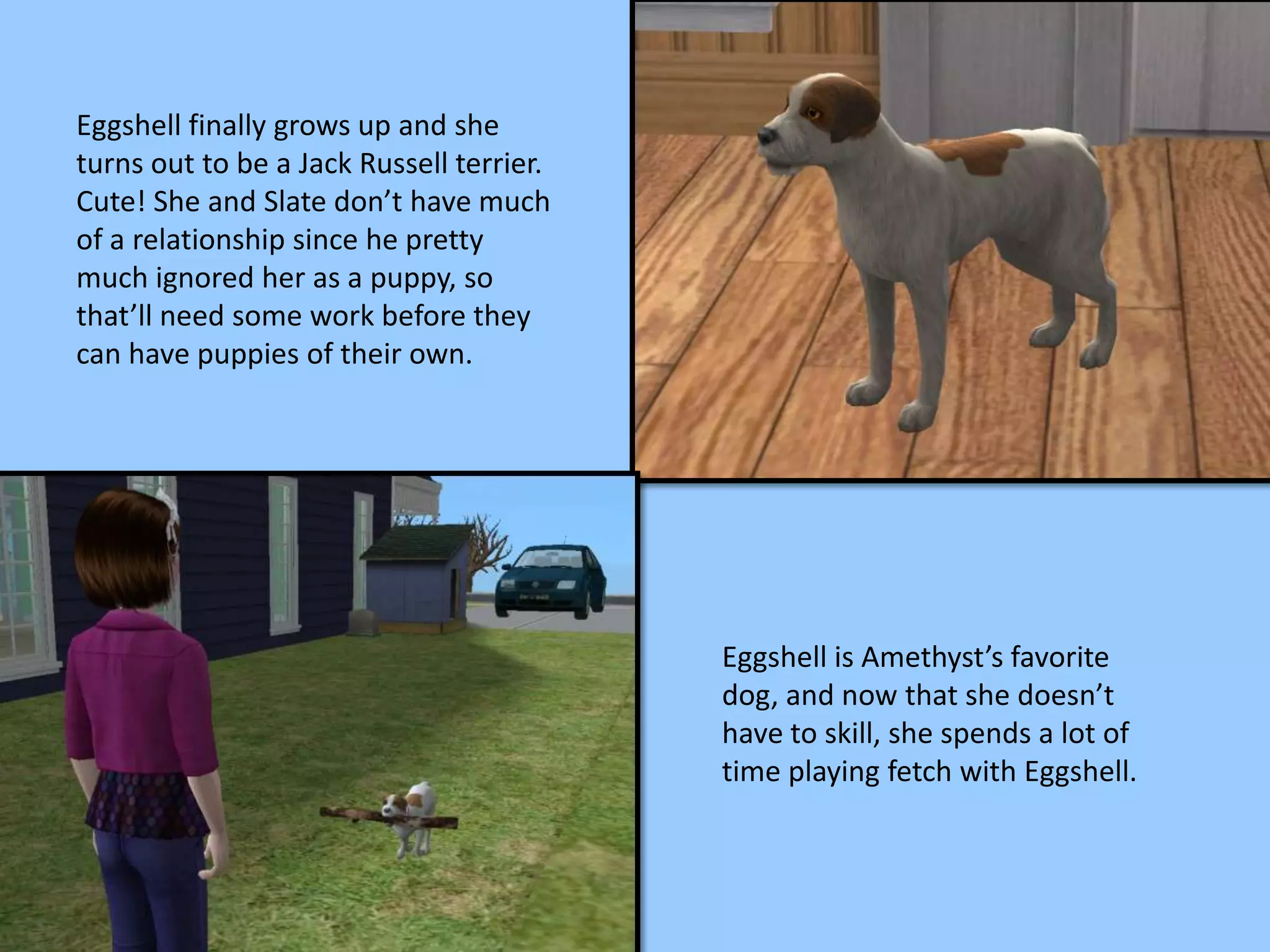 Eggshell finally grows up and she
turns out to be a Jack Russell terrier.
Cute! She and Slate don’t have much
of a relationship since he pretty
much ignored her as a puppy, so
that’ll need some work before they
can have puppies of their own.
Eggshell is Amethyst’s favorite
dog, and now that she doesn’t
have to skill, she spends a lot of
time playing fetch with Eggshell.
 