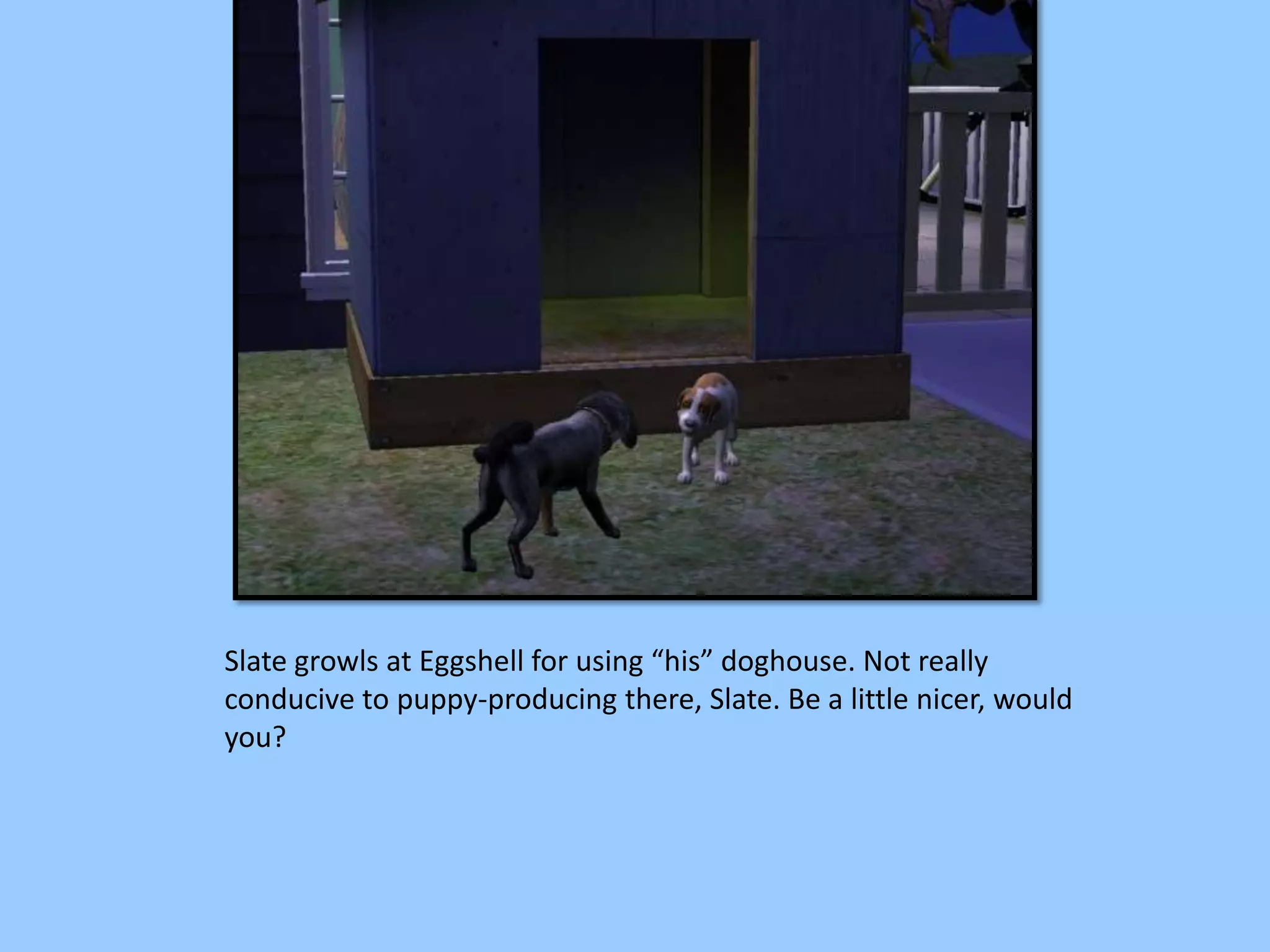 Slate growls at Eggshell for using “his” doghouse. Not really
conducive to puppy-producing there, Slate. Be a little nicer, would
you?
 