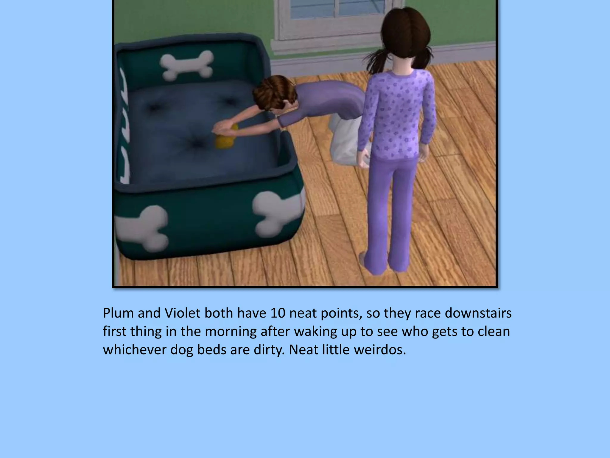 Plum and Violet both have 10 neat points, so they race downstairs
first thing in the morning after waking up to see who gets to clean
whichever dog beds are dirty. Neat little weirdos.
 