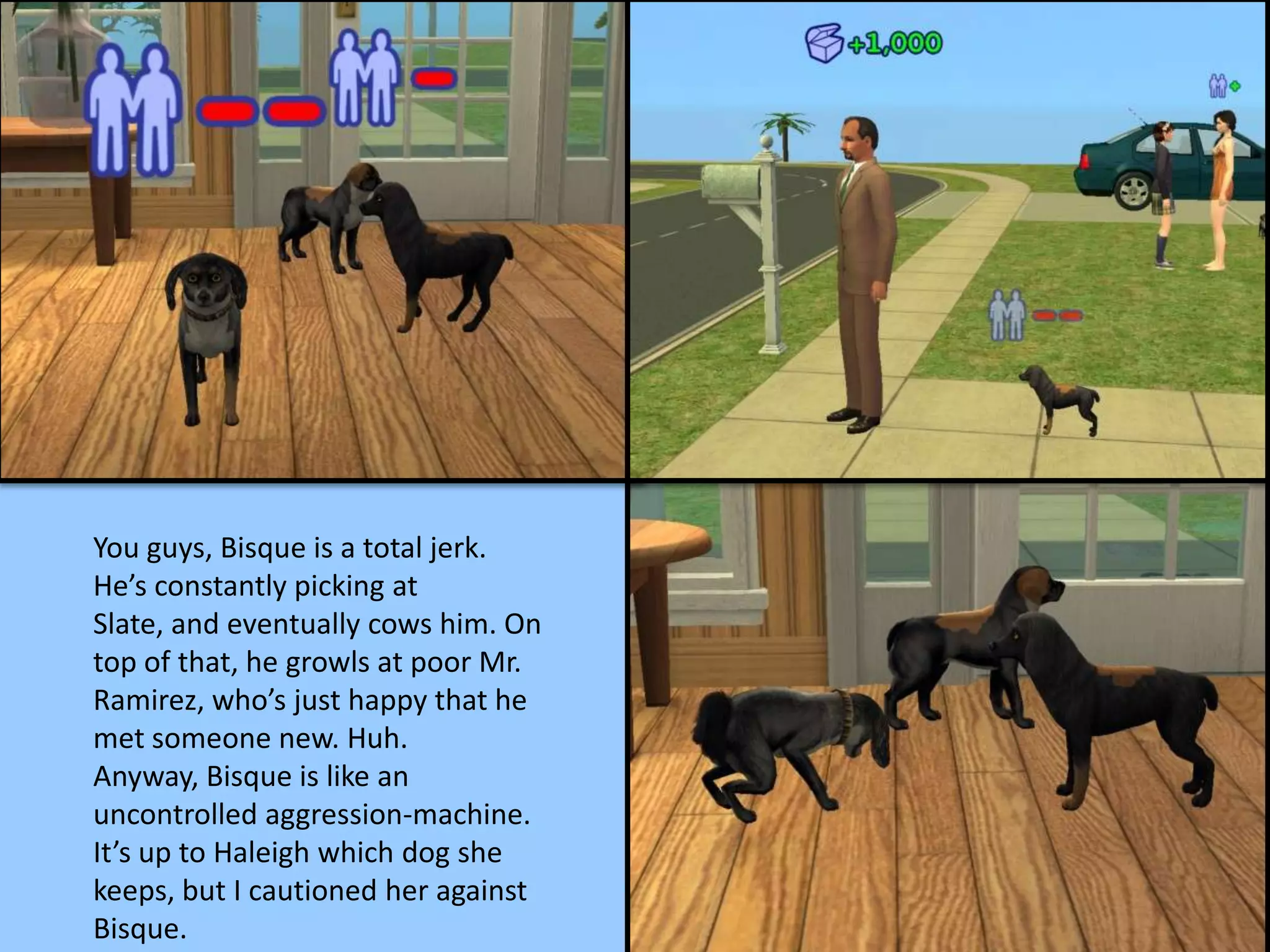You guys, Bisque is a total jerk.
He’s constantly picking at
Slate, and eventually cows him. On
top of that, he growls at poor Mr.
Ramirez, who’s just happy that he
met someone new. Huh.
Anyway, Bisque is like an
uncontrolled aggression-machine.
It’s up to Haleigh which dog she
keeps, but I cautioned her against
Bisque.
 