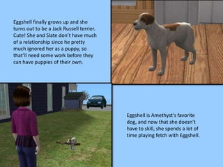 Eggshell finally grows up and she
turns out to be a Jack Russell terrier.
Cute! She and Slate don’t have much
of a relationship since he pretty
much ignored her as a puppy, so
that’ll need some work before they
can have puppies of their own.
Eggshell is Amethyst’s favorite
dog, and now that she doesn’t
have to skill, she spends a lot of
time playing fetch with Eggshell.
 