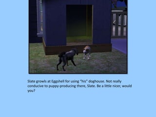 Slate growls at Eggshell for using “his” doghouse. Not really
conducive to puppy-producing there, Slate. Be a little nicer, would
you?
 