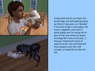 Timberwolf and his son Slate, the
family dogs, are both getting pretty
up there in dog years, so I decided
it was time to get a new puppy. Her
name is Eggshell, since she’s a
white puppy and I’m trying not to
give all the cute names to spares
and dogs like I have in the past. ;)
Anyway, Timberwolf seems to
approve of her. She and Slate will
have puppies once she’s old
enough, so hopefully he likes her
too.
 