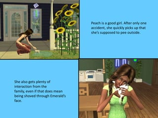 Peach is a good girl. After only one
accident, she quickly picks up that
she’s supposed to pee outside.
She also gets plenty of
interaction from the
family, even if that does mean
being shoved through Emerald’s
face.
 