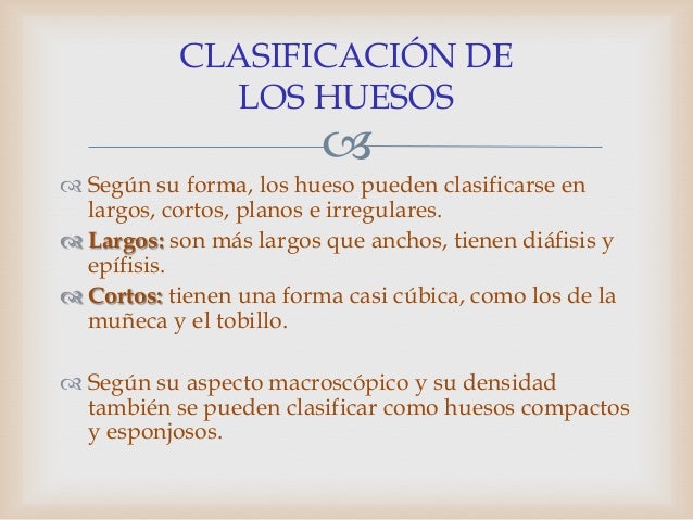 Huesos anchos adelgazar en