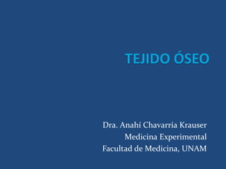 Dra. Anahí Chavarría Krauser
Medicina Experimental
Facultad de Medicina, UNAM

 
