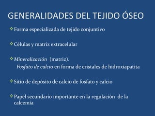 GENERALIDADES DEL TEJIDO ÓSEO
Forma especializada de tejido conjuntivo
Células y matriz extracelular
Mineralización (ma...