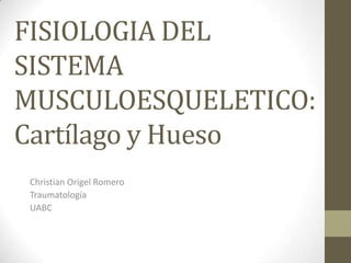FISIOLOGIA DEL
SISTEMA
MUSCULOESQUELETICO:
Cartílago y Hueso
Christian Origel Romero
Traumatología
UABC

 