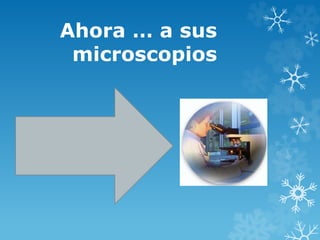 Ahora … a sus
microscopios
 