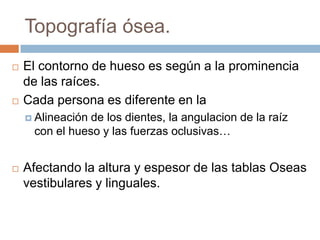 Topografía ósea.El contorno de hueso es según a la prominencia de las raíces.Cada persona es diferente en la Alineación de los dientes, la angulacion de la raíz con el hueso y las fuerzas oclusivas…Afectando la altura y espesor de las tablas Oseas vestibulares y linguales.