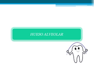 HUESO ALVEOLAR
 