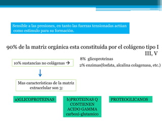 Sensible a las presiones, en tanto las fuerzas tensionadas actúan
  como estímulo para su formación.



90% de la matriz orgánica esta constituida por el colágeno tipo I
                                                          III, V
                                        8% glicoproteinas
   10% sustancias no colágenas 
                                        2% enzimas(fosfata, alcalina colagenasa, etc.)



     Mas características de la matriz
           extracelular son 3:

   a)GLICOPROTEINAS             b)PROTEINAS Q            PROTEOGLICANOS
                                  CONTIENEN
                                 ACIDO GAMMA
                                carboxi-glutamico
 