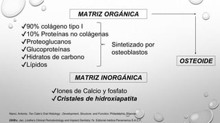 MATRIZ ORGÁNICA
✔90% colágeno tipo I
✔10% Proteínas no colágenas
✔Proteoglucanos
✔Glucoproteínas
✔Hidratos de carbono
✔Lípidos
Sintetizado por
osteoblastos
MATRIZ INORGÁNICA
✔Iones de Calcio y fosfato
✔Cristales de hidroxiapatita
OSTEOIDE
Nanci, Antonio. Ten Cate’s Oral Histology : Development, Structure, and Function. Philadelphia, Elsevier,
2017.
Lindhe, Jan. Lindhe’s Clinical Periodontology and Implant Dentistry 7e. Editorial médica Panamerica S.A.C.F,
 