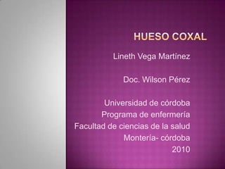 HUESO COXAL Lineth Vega Martínez Doc. Wilson Pérez Universidad de córdoba Programa de enfermería  Facultad de ciencias de la salud Montería- córdoba 2010 
