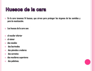    En la cara tenemos 14 huesos, que sirven para proteger los órganos de los sentidos y
    para la masticación.


   Los huesos de la cara son:


   el maxilar inferior
   el vómer
   dos nasales
   dos lacrimales
   dos pómulos o malares
   dos cornetes
   dos maxilares superiores
   dos palatinos.
 