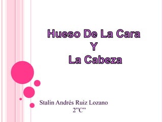 Stalin Andrés Ruiz Lozano
             2”C”
 