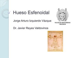 Hueso Esfenoidal
Jorge Arturo Izquierdo Vázquez
Dr. Javier Reyes Valdovinos
 