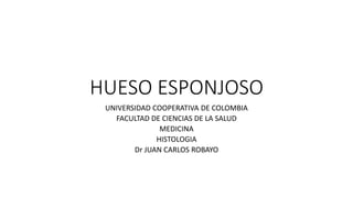 HUESO ESPONJOSO
UNIVERSIDAD COOPERATIVA DE COLOMBIA
FACULTAD DE CIENCIAS DE LA SALUD
MEDICINA
HISTOLOGIA
Dr JUAN CARLOS ROBAYO
 