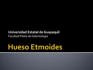 Universidad Estatal de Guayaquil
Facultad Piloto de Odontología
 