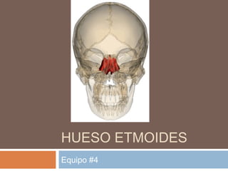 HUESO ETMOIDES
Equipo #4
 