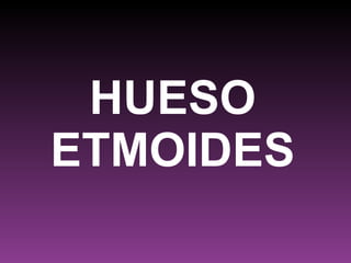 HUESO ETMOIDES 