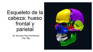 Esqueleto de la
cabeza: hueso
frontal y
parietal
Dr. Sócrates Pozo Verdesoto;
Esp. Mg.
 