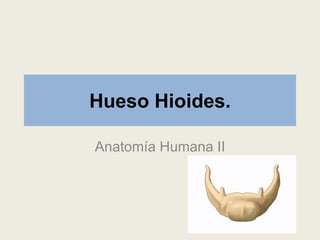 Hueso Hioides.
Anatomía Humana II
 