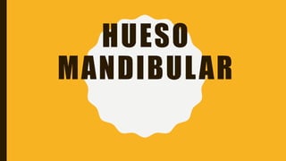 HUESO
MANDIBULAR
 