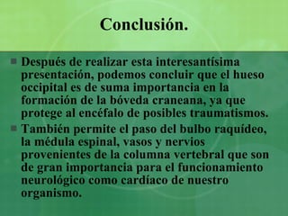 Conclusión. Después de realizar esta interesantísima presentación, podemos concluir que el hueso occipital es de suma importancia en la formación de la bóveda craneana, ya que protege al encéfalo de posibles traumatismos. También permite el paso del bulbo raquídeo, la médula espinal, vasos y nervios provenientes de la columna vertebral que son de gran importancia para el funcionamiento neurológico como cardíaco de nuestro organismo.  
