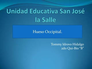 Hueso Occipital.


         Tommy Idrovo Hidalgo
              2do Qui-Bio “B”
 