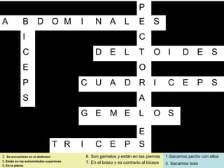 38
P
A B D O M I N A L E S
I C
C D E L T O I D E S
E O
P C U A D R I C E P S
S A
G E M E L O S
E
T R I C E P S
2. Se encuentran en el abdomen
3. Están en las extremidades superiores
5. En la pierna
6. Son gemelos y están en las piernas
7. En el brazo y es contrario al biceps
1.Sacamos pecho con ellos
3. Sacamos bola
 