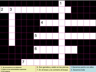 1
2            3


                                                  4


                                          5


                                          6


                                 7
2. Se encuentran en el abdomen                6. Son gemelos y están en las piernas     1.Sacamos pecho con ellos
                                                                                                          37
3. Están en las extremidades superiores       7. En el brazo y es contrario al biceps   3. Sacamos bola
5. En la pierna
 