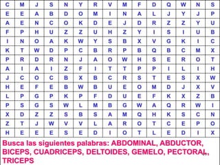C    M   J   S   N   Y   R   V   M   F   D   Q   W   N   S
E    E   A   B   D   O   M   I   N   A   L   J   Y   J   P
A    E   N   C   O   K   D   E   J   D   R   Z   Z   Y   U
F    P   H   U   Z   Z   U   H   Z   Y   I   S   I   U   B
 I   N   O   A   K   W   Y   S   B   X   V   G   K   I   C
K    T   W   D   P   C   B   R   P   B   Q   B   C   M   X
P    R   D   R   N   J   A   O   W   H   S   E   R   O   T
A    I   A   I   Z   F   I   T   T   P   P   I   L   I   H
J    C   O   C   B   X   B   C   R   S   T   E   S   X   W
H    E   F   E   B   W   B   U   E   O   M   D   J   X   V
L    P   G   P   K   P   F   D   U   E   F   K   X   Z   B
P    S   G   S   W   L   M   B   G   W   A   Q   R   W   I
X    D   Z   Z   S   B   S   A   M   Q   H   K   S   C   N
Z    T   J   W   V   V   L   A   R   O   T   C   E   P   O
H    E   E   E   S   E   D   I   O   T   L   E   D   I   X
Busca las siguientes palabras: ABDOMINAL, ABDUCTOR,
BICEPS, CUADRICEPS, DELTOIDES, GEMELO, PECTORAL,  41
TRICEPS
 