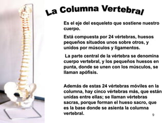 Es el eje del esqueleto que sostiene nuestro
cuerpo.
Está compuesta por 24 vértebras, huesos
pequeños situados unos sobre otros, y
unidos por músculos y ligamentos.
 La parte central de la vértebra se denomina
cuerpo vertebral, y los pequeños huesos en
punta, donde se unen con los músculos, se
llaman apófisis.

Además de estas 24 vértebras móviles en la
columna, hay cinco vértebras más, que están
unidas entre ellas; se llaman vértebras
sacras, porque forman el hueso sacro, que
es la base donde se asienta la columna
vertebral.                              9
 