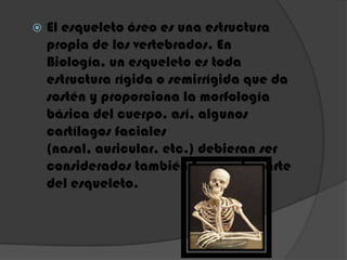  El esqueleto óseo es una estructura
propia de los vertebrados. En
Biología, un esqueleto es toda
estructura rígida o semirrígida que da
sostén y proporciona la morfología
básica del cuerpo, así, algunos
cartílagos faciales
(nasal, auricular, etc.) debieran ser
considerados también formando parte
del esqueleto.
 