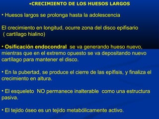 •CRECIMIENTO DE LOS HUESOS LARGOS
• Huesos largos se prolonga hasta la adolescencia
El crecimiento en longitud, ocurre zona del disco epifisario
( cartílago hialino)
• Osificación endocondral se va generando hueso nuevo,
mientras que en el extremo opuesto se va depositando nuevo
cartílago para mantener el disco.
• En la pubertad, se produce el cierre de las epífisis, y finaliza el
crecimiento en altura.
• El esqueleto NO permanece inalterable como una estructura
pasiva.
• El tejido óseo es un tejido metabólicamente activo.
 