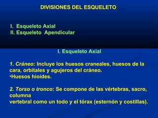 DIVISIONES DEL ESQUELETO
I. Esqueleto Axial
II. Esqueleto Apendicular
I. Esqueleto Axial
1. Cráneo: Incluye los huesos craneales, huesos de la
cara, orbitales y agujeros del cráneo.
•Huesos hioides.
2. Torso o tronco: Se compone de las vértebras, sacro,
columna
vertebral como un todo y el tórax (esternón y costillas).
 