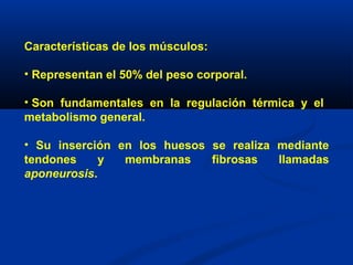 Características de los músculos:
• Representan el 50% del peso corporal.
• Son fundamentales en la regulación térmica y el
metabolismo general.
• Su inserción en los huesos se realiza mediante
tendones y membranas fibrosas llamadas
aponeurosis.
 