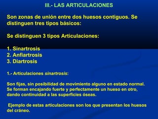 III.- LAS ARTICULACIONES
Son zonas de unión entre dos huesos contiguos. Se
distinguen tres tipos básicos:
Se distinguen 3 tipos Articulaciones:
1. Sinartrosis
2. Anfiartrosis
3. Diartrosis
1.- Articulaciones sinartrosis:
Son fijas, sin posibilidad de movimiento alguno en estado normal.
Se forman encajando fuerte y perfectamente un hueso en otro,
dando continuidad a las superficies óseas.
Ejemplo de estas articulaciones son los que presentan los huesos
del cráneo.
 