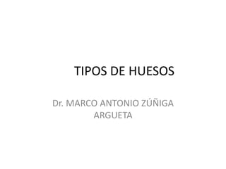 TIPOS DE HUESOS 
Dr. MARCO ANTONIO ZÚÑIGA 
ARGUETA 
 